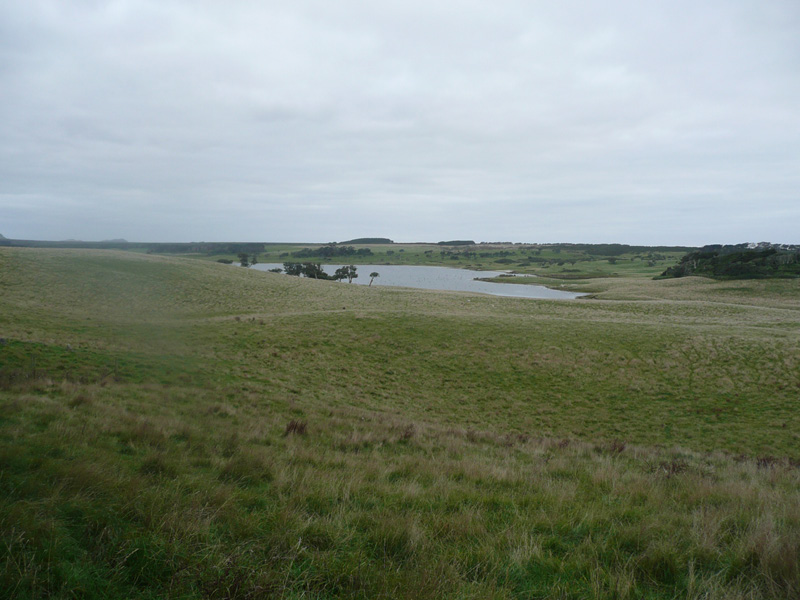 Chathamsbarry