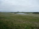Chathamsbarry